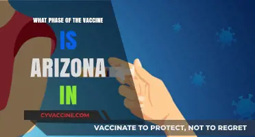 Arizona's Vaccine Rollout: Current Phase and Eligibility Updates