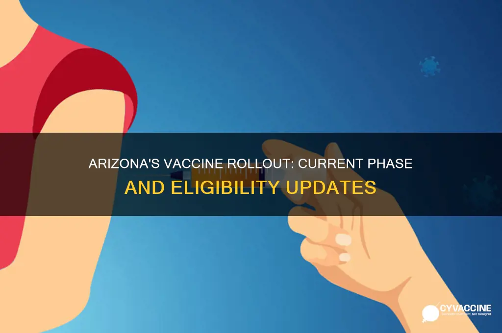 what phase of the vaccine is arizona in