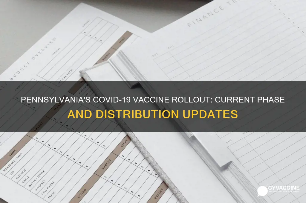 what phase of the vaccine is pa in