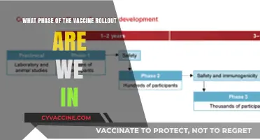 Current Vaccine Rollout Phase: Where We Stand and What's Next