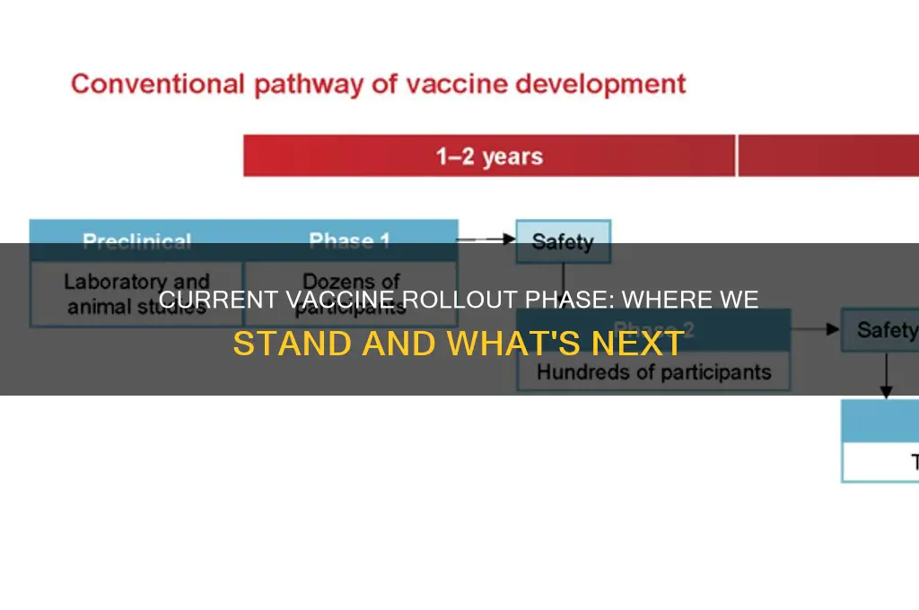 what phase of the vaccine rollout are we in
