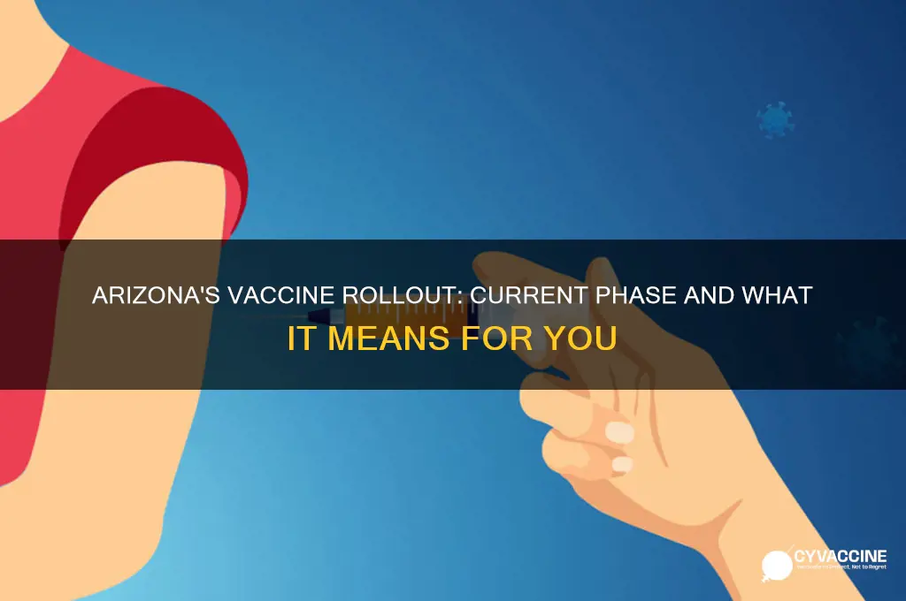 what phase of vaccine are we in az