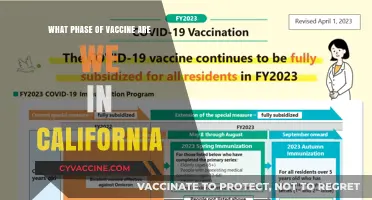 California's Vaccine Rollout: Current Phase and What It Means for You