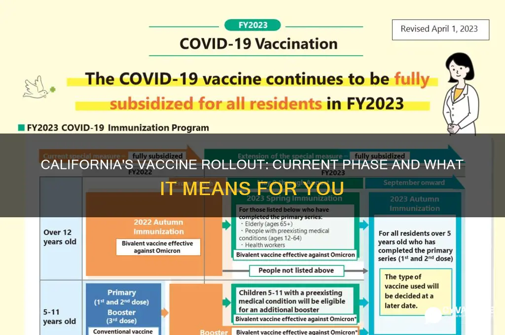 what phase of vaccine are we in california