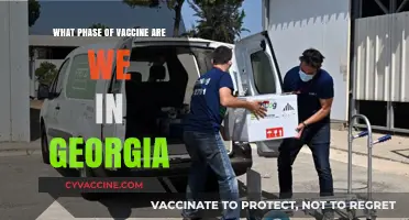 Georgia's Vaccine Rollout: Current Phase and What It Means for You