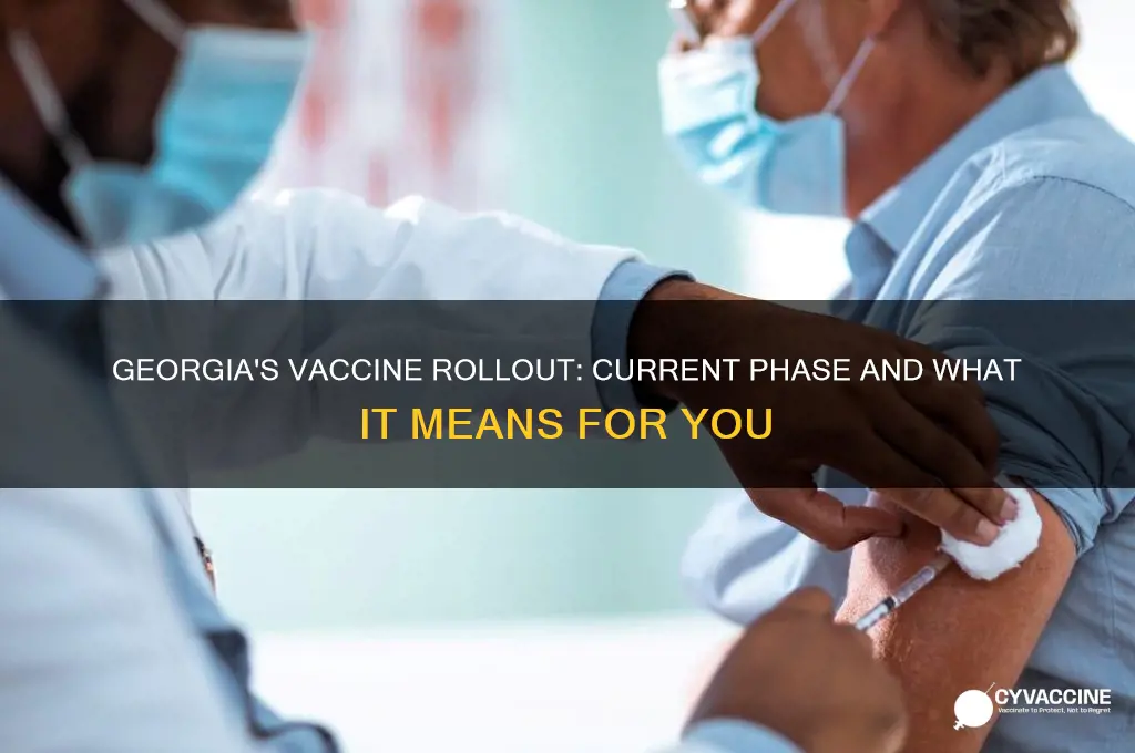 what phase of vaccine are we in georgia