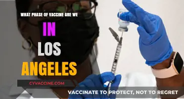 Los Angeles Vaccine Rollout: Current Phase and Distribution Updates