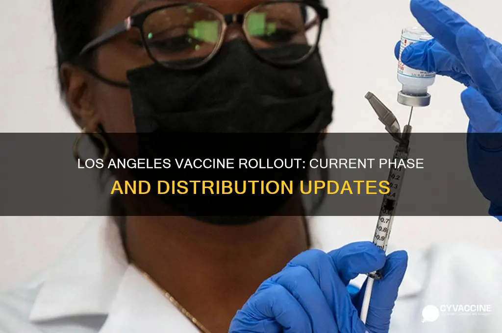 what phase of vaccine are we in los angeles