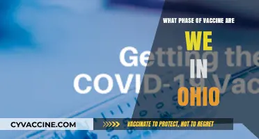 Ohio's Vaccine Rollout: Current Phase and What It Means for You