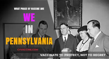 Pennsylvania's Vaccine Rollout: Current Phase and Distribution Updates