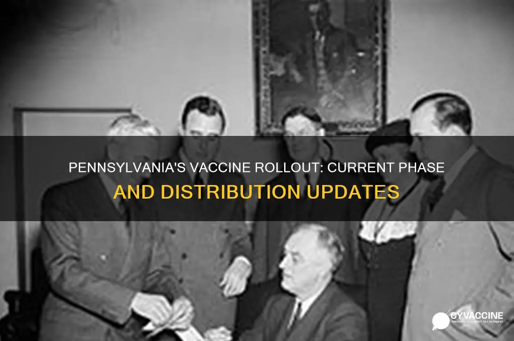 what phase of vaccine are we in pennsylvania
