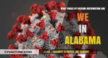 Alabama's Vaccine Rollout: Current Phase and Distribution Updates