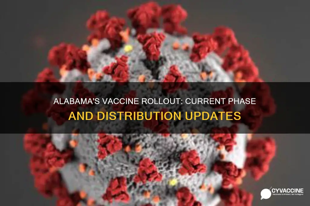 what phase of vaccine distribution are we in alabama