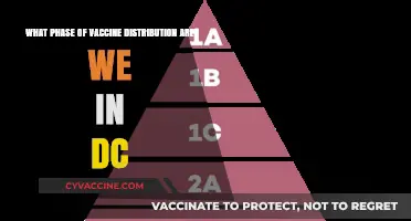DC's Vaccine Rollout: Current Phase and Distribution Updates