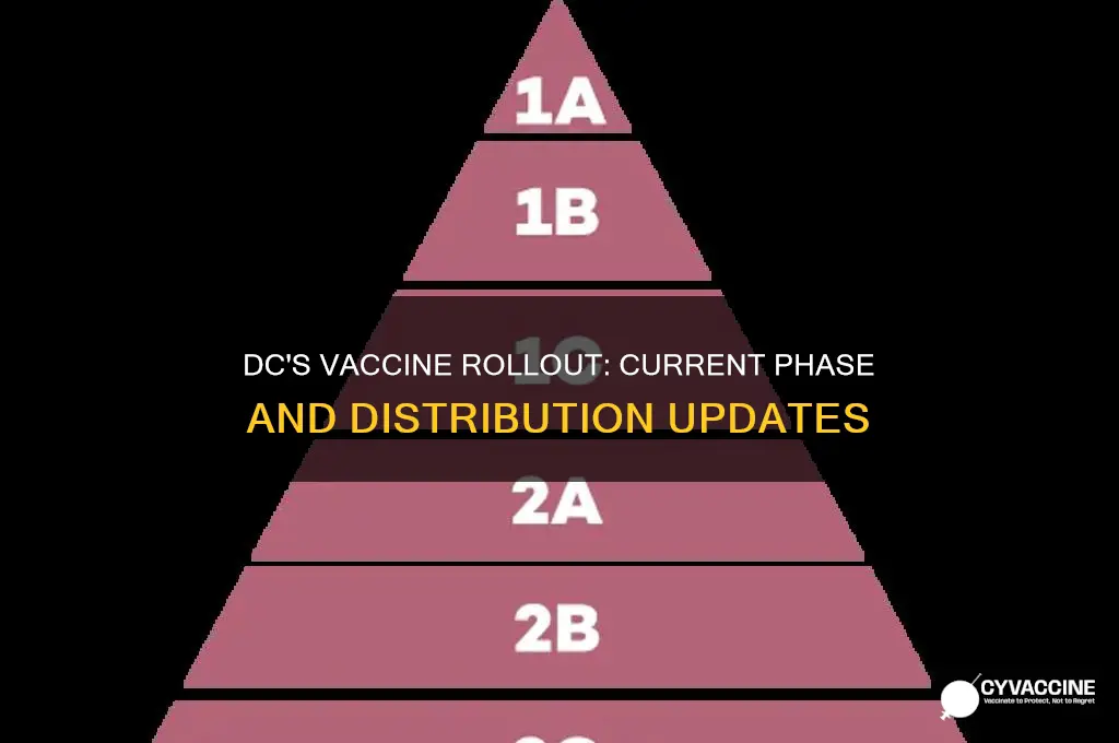 what phase of vaccine distribution are we in dc