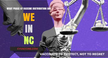 NC Vaccine Rollout: Current Phase and What It Means for You
