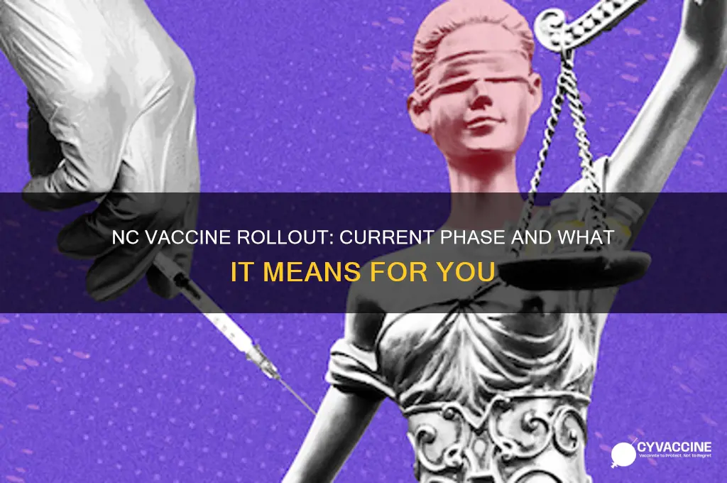 what phase of vaccine distribution are we in nc