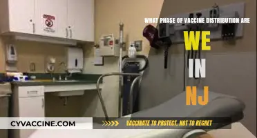 NJ Vaccine Rollout: Current Phase and Distribution Updates
