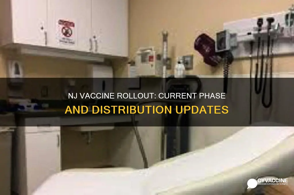 what phase of vaccine distribution are we in nj