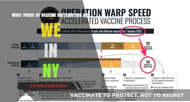 NY's Vaccine Rollout: Current Phase and Eligibility Updates