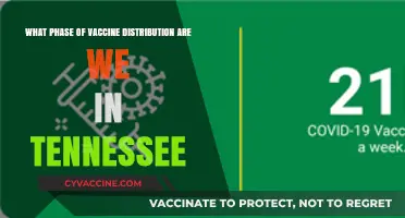 Tennessee's Vaccine Rollout: Current Phase and Distribution Updates