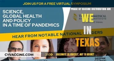 Texas Vaccine Rollout: Current Phase and What It Means for You