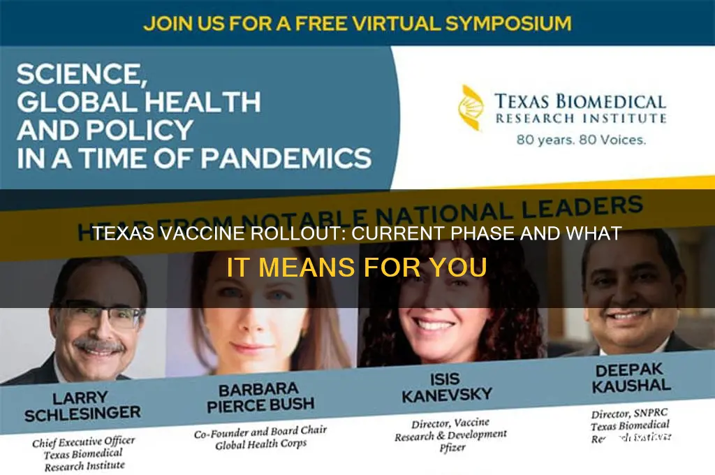 what phase of vaccine distribution are we in texas