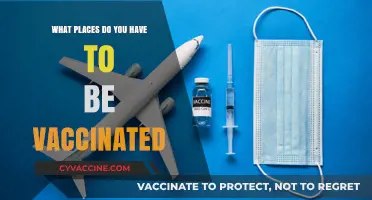 Essential Vaccination Destinations: Where Immunization is a Must for Travel