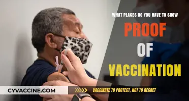 Where Vaccination Proof is Required: A Comprehensive Guide to Travel and Entry