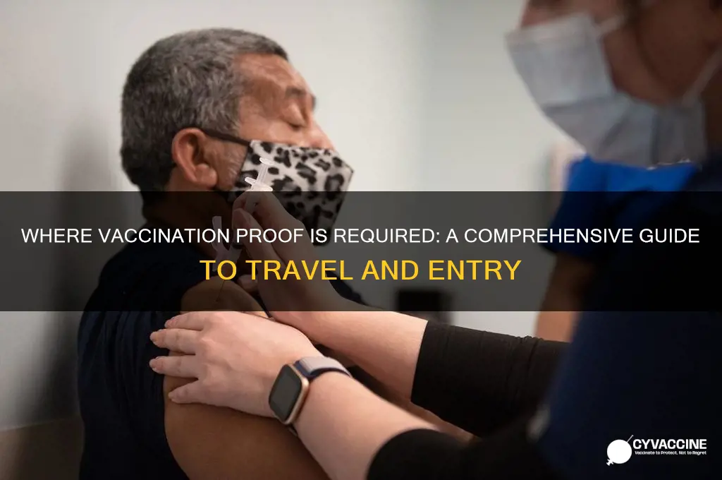 what places do you have to show proof of vaccination