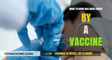 Vaccine Triumph: Eradicating the Devastating Plague Through Medical Innovation