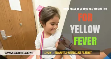 Where to Get Yellow Fever Vaccination in Conroe: Top Location