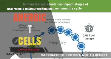 Understanding Vaccine Mechanisms: Why Anergic T Cells Are Not Produced
