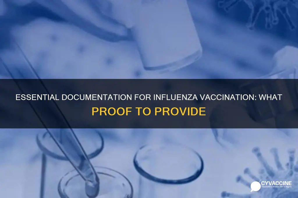 what proof of record to provide for influenza vaccination