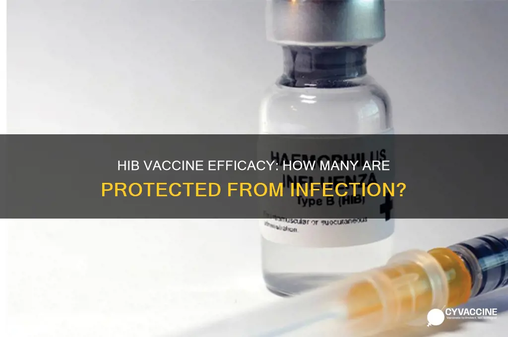 what proportion of hib vaccine persons are proteced from infectio