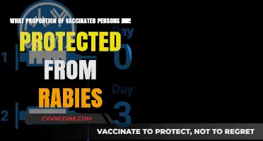 Rabies Vaccination Efficacy: How Many Vaccinated Individuals Are Protected?