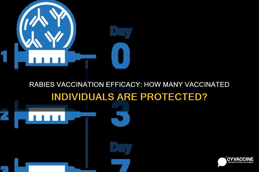 what proportion of vaccinated persons are protected from rabies