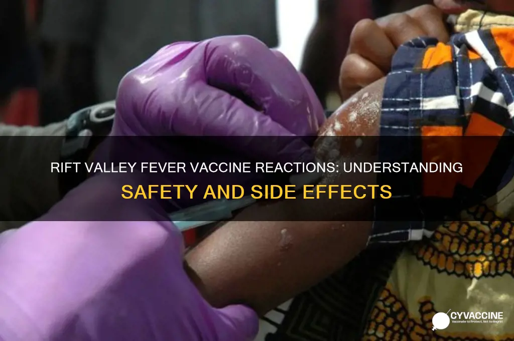 what reactions to the rift valley fever vaccine