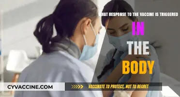 How Vaccines Activate Immune Responses: Understanding the Body's Defense Mechanism