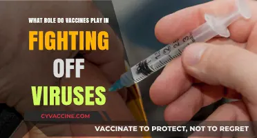 Vaccines: How They Strengthen Immunity Against Viral Infections
