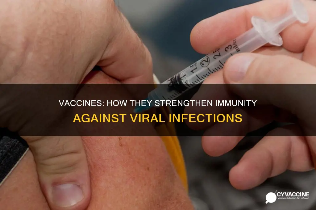 what role do vaccines play in fighting off viruses