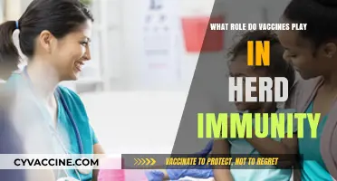 Vaccines and Herd Immunity: Protecting Communities Through Immunization