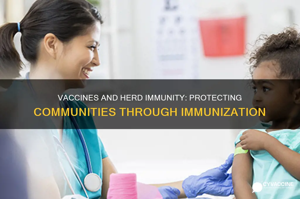 what role do vaccines play in herd immunity