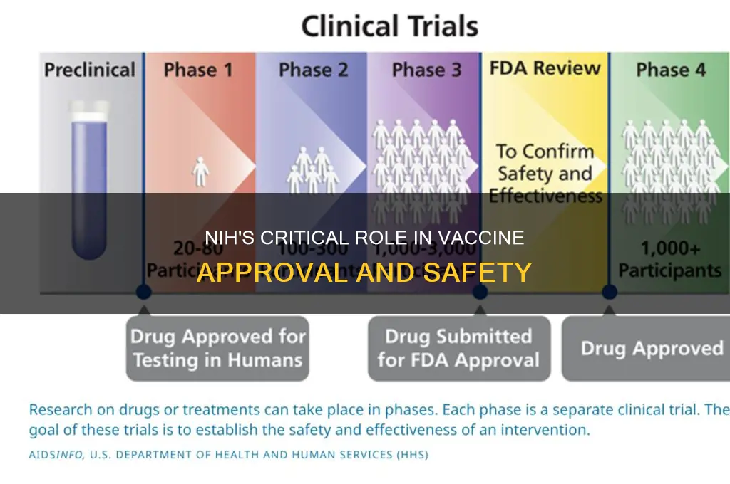 what role does the nih play in vaccine approval