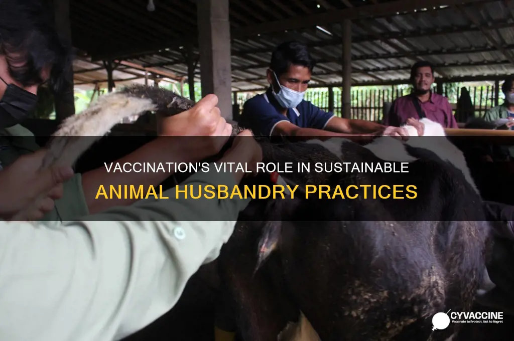 what role does vaccination play in animal husbandry