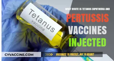 Tetanus, Diphtheria, Pertussis Vaccines: Understanding the Injection Route