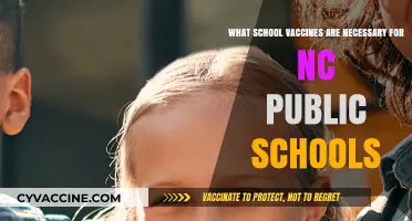 NC Public School Vaccine Requirements: Essential Immunizations for Students