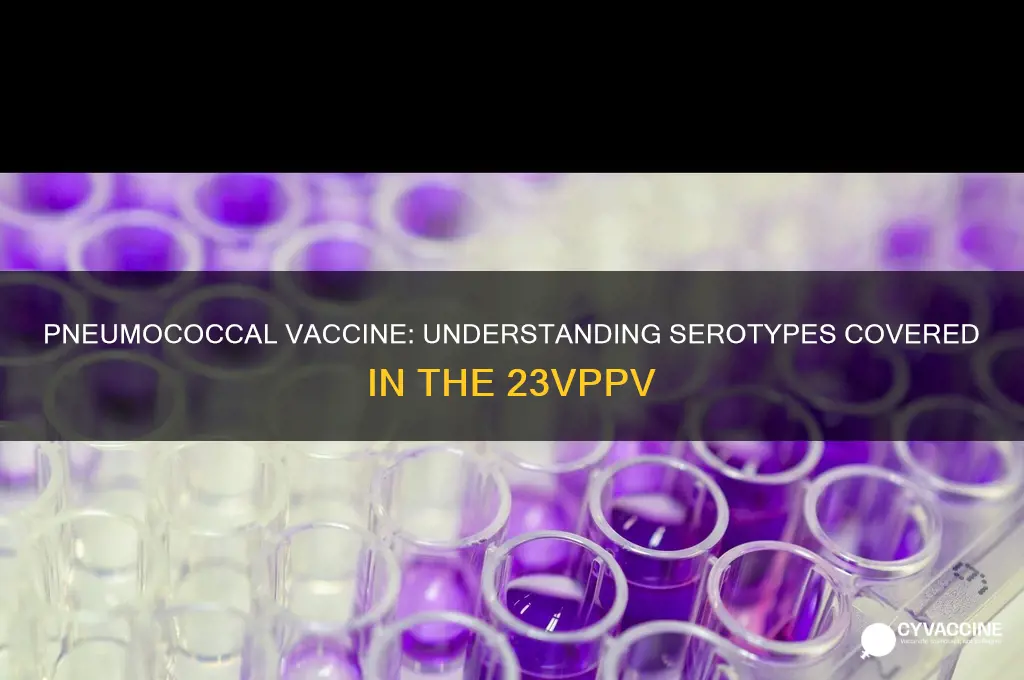what serotypes are covered in the 23 valent pneumococcal vaccine