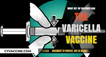 Varicella Vaccine: Which Set Includes Chickenpox Protection?