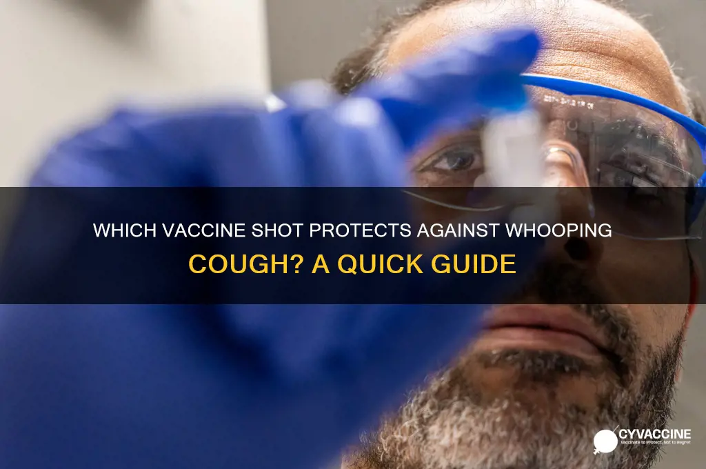 what shot is the whooping could vaccine in